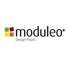 542ecc76-8c94-4019-9814-9a9132738d05-data-logo-logo-moduleo-228x228.jpg